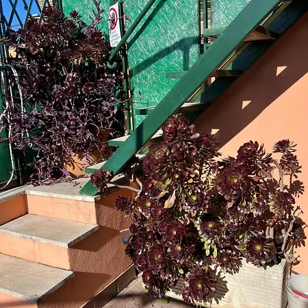 Spanish Steps View *