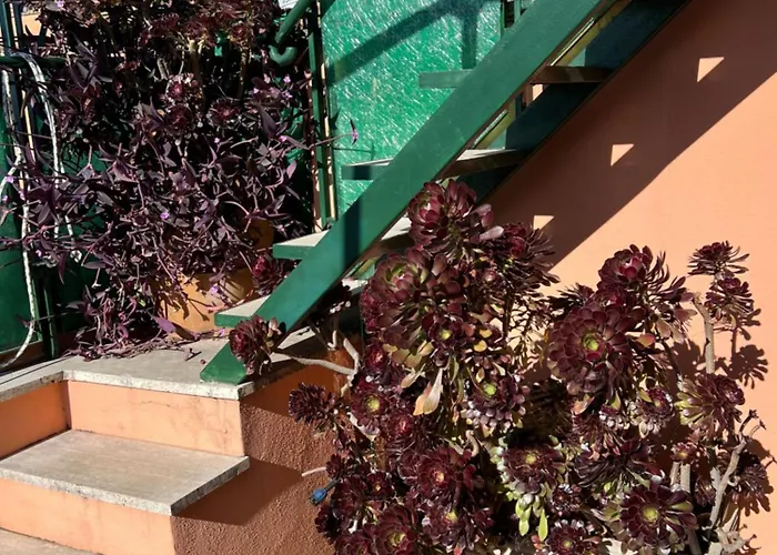 Spanish Steps View *